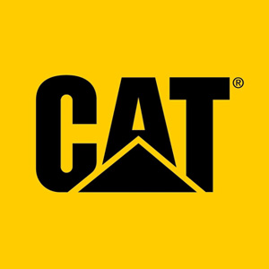 logo cat